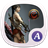 Archer queen theme-ABC Lancher icon