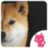 Beautiful Shiba Dog images icon