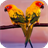 Birds Mountain 3D Live Wallpaper icon
