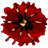 Bloody Spiders Free LWP icon