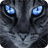 Cat with blue eyes icon