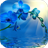 Blue Orchid Live Wallpaper icon