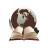 Bookmarked icon