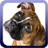 Boxer Dog Wallpaper APK Download