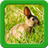 Bunny Live Wallpapers icon