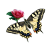 Circus Butterflies Free icon
