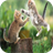 Cat Fight Wallpapers icon