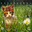 Cat Nature Keyboard icon