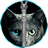 Cat Zipper Lock Screen icon