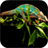 Chameleon version 1.1.1