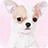 Chihuahua Background icon