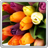 Colorful Tulips Live Wallpaper icon