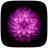 iOS Flower icon