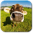 Cow.Live Wallpaper. icon