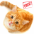 Cute Cat Wallpapers Free icon