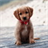 Cute Dog Puppy Wallpaper icon