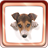 Cute Dogs icon