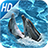 Cute dolphin Live Wallpapers Free icon