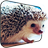 Cute hedgehog Live Wallpaper icon