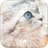 Cute Kitty Live Wallpaper icon