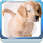 Cute Labrador Puppies icon