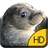 Cute Seal Live Wallpaper icon