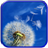 Dandelion Wallpaper icon