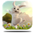 Day rabbit Live Wallpaper icon