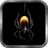Deadly Spider Live Wallpaper icon
