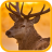 Deer HD Live Wallpapers icon