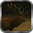 Deer Live Wallpaper icon
