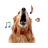 Dog Bark Ringtones icon