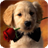 Dog HD Live Wallpaper icon