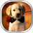 Dog Puppies Live Wallpaper icon