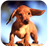 DOG Wallpapers v1 icon