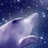 Dolphin-RYUKYU LOVERS Free icon