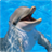 Dolphins 3 live wallpaper version 1.6