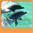 Descargar Dolphins Live Wallpapers