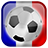 Euro 2016 Flags APK Download