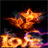 Fire Flower Love LWP icon
