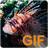 Fish Live Wallpapers icon