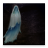 Floating Ghost icon