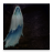 Floating Ghost version 1.0