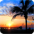 Florida City Wallpaper icon