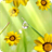 Flowers Live Wallpaper icon