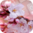 Flowers Keyboard Theme Emoji 1.6