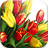 tulips wallpaper free hd 4.1.1