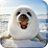 Baby Seal Live Wallpaper icon