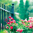 free rose garden wallpaper 1.1