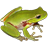 Frog Power APK Download